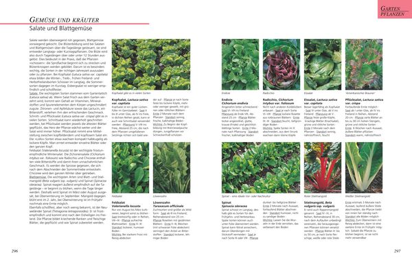 Produktbild: Das gro&szlig;e GU Gartenbuch