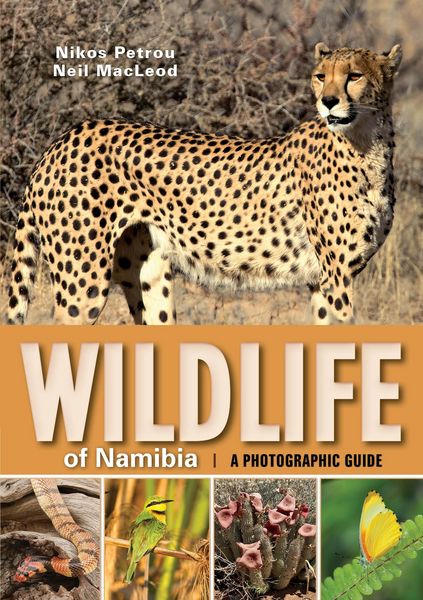 Produktbild: Wildlife of Namibia