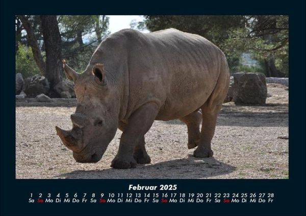 Produktbild: Der Tierkalender 2025 Fotokalender DIN A4
