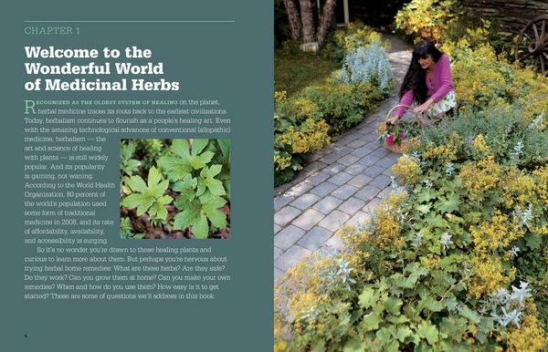 Produktbild: Rosemary Gladstar's Medicinal Herbs: A Beginner's Guide