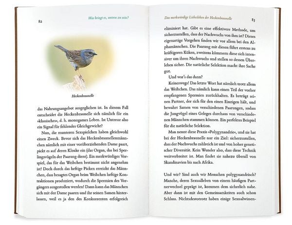 Produktbild: Kleine Philosophie der V&ouml;gel