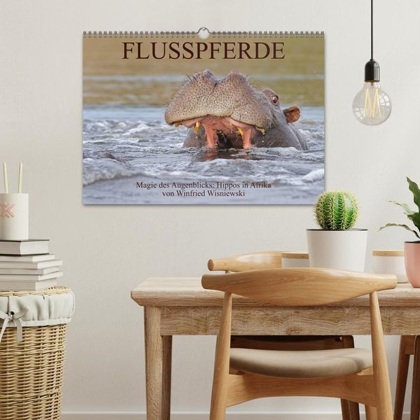 Produktbild: Flusspferde Magie des Augenblicks - Hippos in Afrika (Wandkalender 2026 DIN A3 quer), CALVENDO Monatskalender