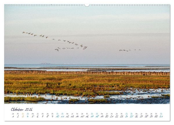Produktbild: Nordfriesland - weiter Horizont, faszinierende Natur, idyllische St&auml;dte (Wandkalender 2026 DIN A2 quer), CALVENDO Monatskalender