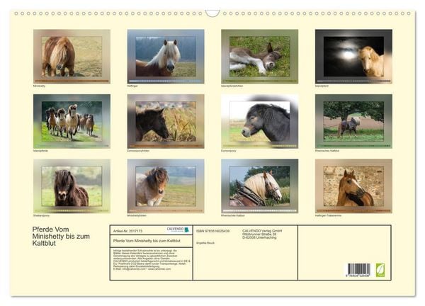 Produktbild: Pferde Vom Minishetty bis zum Kaltblut (Wandkalender 2026 DIN A2 quer), CALVENDO Monatskalender