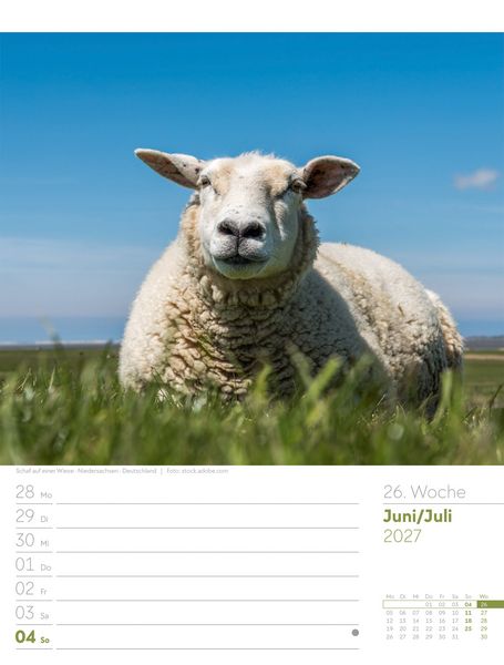 Produktbild: Am Meer Wochenplaner Kalender 2027