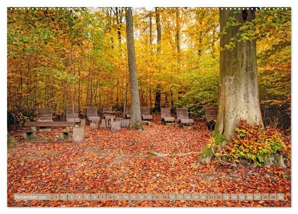 Produktbild: Der Wald - Ort der Ruhe und Besinnung (Wandkalender 2026 DIN A2 quer), CALVENDO Monatskalender