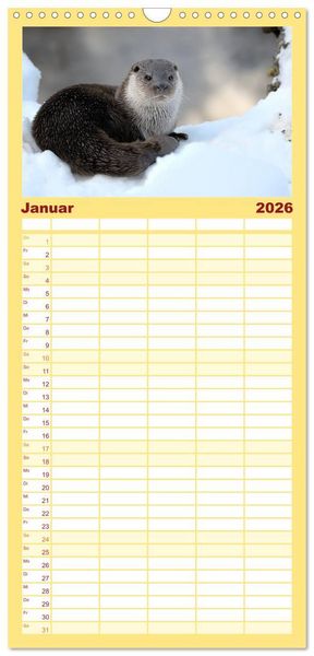 Produktbild: Familienplaner 2026 - Fischotter, flinke J&auml;ger mit 5 Spalten (Wandkalender, 21 x 45 cm) CALVENDO