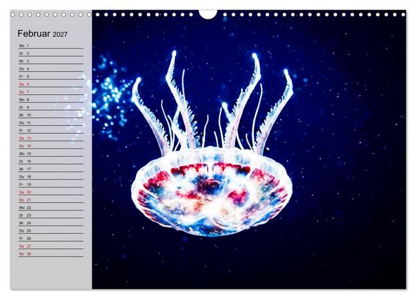 Produktbild: Quallen - Faszinierende Urzeitwesen der Meere (Wandkalender 2027 DIN A3 quer), CALVENDO Monatskalender