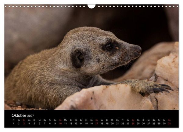 Produktbild: Wundersch&ouml;nes Namibia (Wandkalender 2027 DIN A3 quer), CALVENDO Monatskalender