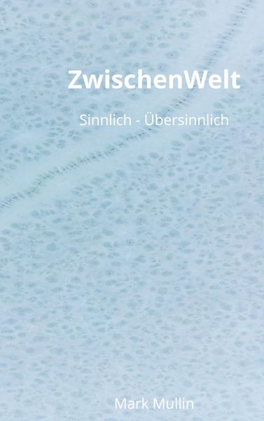 Produktbild: ZwischenWelt