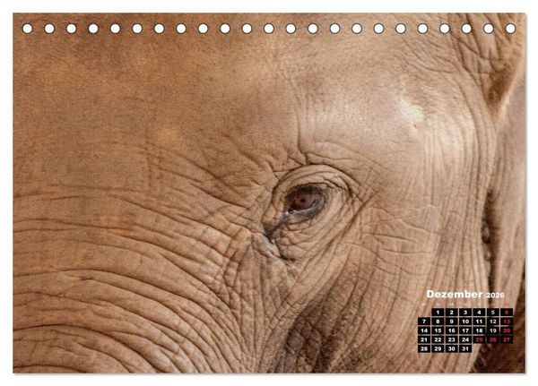 Produktbild: Bedrohte Riesen - Elefanten in Sri Lanka (Tischkalender 2026 DIN A5 quer), CALVENDO Monatskalender