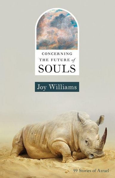 Produktbild: Concerning the Future of Souls