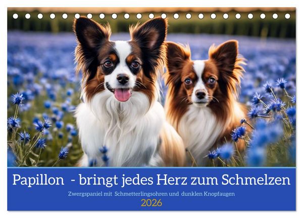 Papillon - bringt jedes Herz zum Schmelzen (Tischkalender 2026 DIN A5 quer), CALVENDO Monatskalender
