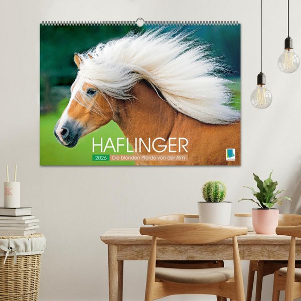 Produktbild: Haflinger: Die blonden Pferde von der Alm (Wandkalender 2026 DIN A2 quer), CALVENDO Monatskalender