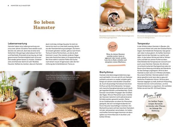 Produktbild: Hamster