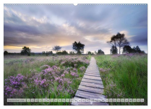Produktbild: Moore und B&auml;che in Eifel und Ardennen (Wandkalender 2026 DIN A2 quer), CALVENDO Monatskalender