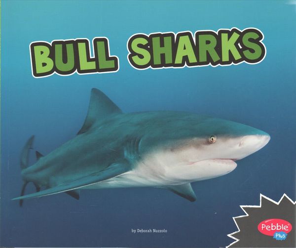 Produktbild: Bull Sharks