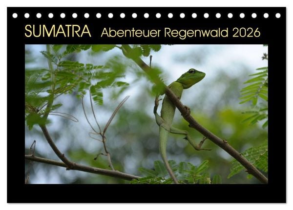 Produktbild: SUMATRA Abenteuer Regenwald (Tischkalender 2026 DIN A5 quer), CALVENDO Monatskalender