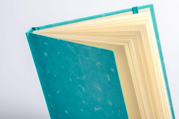 Produktbild: Anaconda Notizbuch/Notebook/Blank Book, punktiert, textiles Gummiband, gr&uuml;n, Hardcover (A5), 120g/m&sup2; Papier
