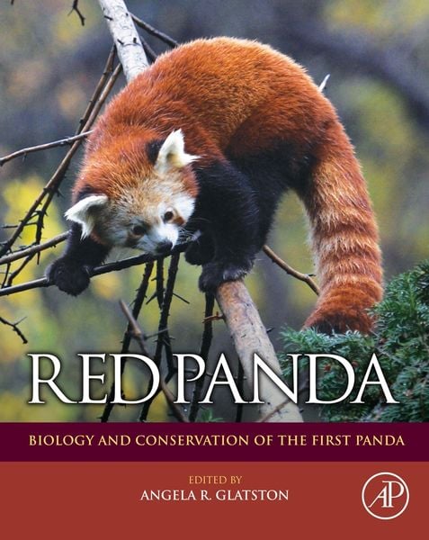 Produktbild: Red Panda