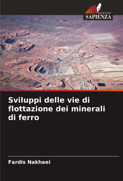 Produktbild: Sviluppi delle vie di flottazione dei minerali di ferro