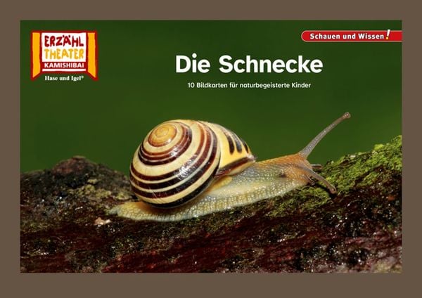 Produktbild: Die Schnecke / Kamishibai Bildkarten