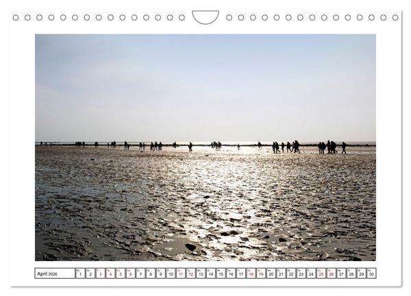 Produktbild: Verliebt in Norddeich (Wandkalender 2026 DIN A4 quer), CALVENDO Monatskalender