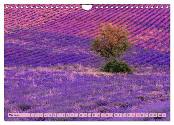 Produktbild: Provence, Lavendelzeit in S&uuml;dfrankreich (Wandkalender 2026 DIN A4 quer), CALVENDO Monatskalender