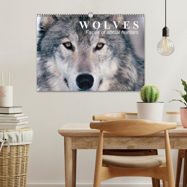 Produktbild: Wolves &bull; Faces of social hunters (Wall Calendar 2026 DIN A3 landscape), CALVENDO 12 Month Wall Calendar