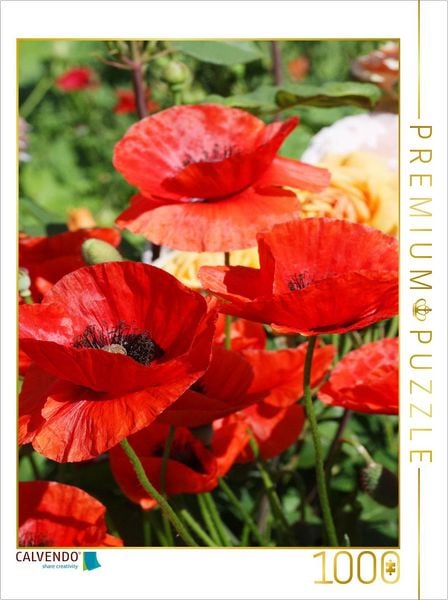 Produktbild: CALVENDO Puzzle Roter Mohn im Garten | 1000 Teile Lege-Gr&ouml;&szlig;e 64x48cm Foto-Puzzle f&uuml;r gl&uuml;ckliche Stunden