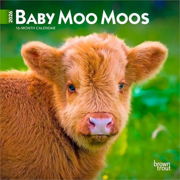 Produktbild: Baby Moo Moos 2026 7 X 14 Inch (Hanging) Monthly Mini Wall Calendar