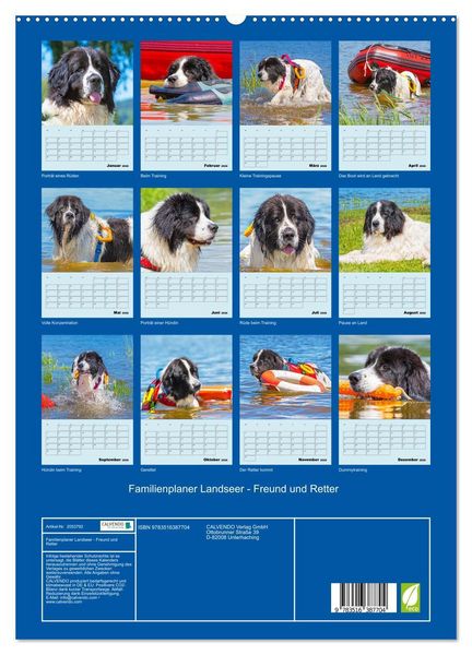 Produktbild: Familienplaner Landseer - Freund und Retter (hochwertiger Premium Wandkalender 2026 DIN A2 hoch), Kunstdruck in Hochglanz