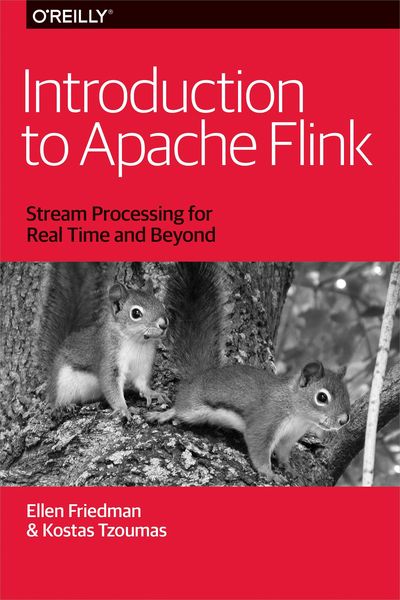 Produktbild: Introduction to Apache Flink