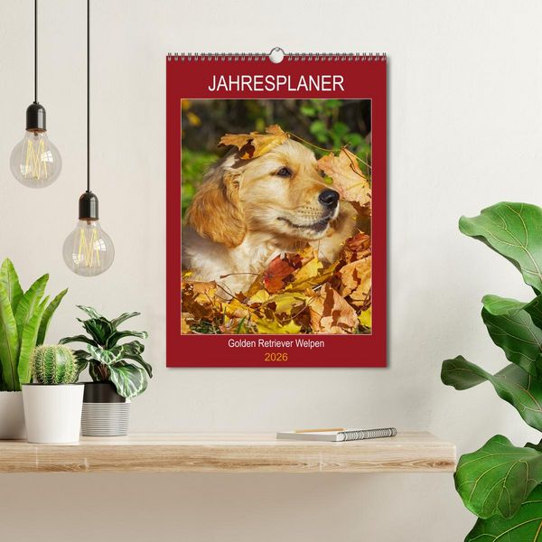 Produktbild: Jahresplaner Golden Retriever Welpen (Wandkalender 2026 DIN A3 hoch), CALVENDO Monatskalender