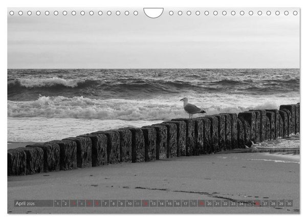 Produktbild: 54&deg;54'57"N 8&deg;19'51"E SYLT (Wandkalender 2026 DIN A4 quer), CALVENDO Monatskalender