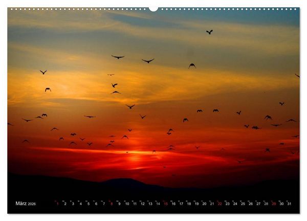 Produktbild: Sonnenunterg&auml;nge &bull; Traumhafte Farbspiele (Wandkalender 2026 DIN A2 quer), CALVENDO Monatskalender