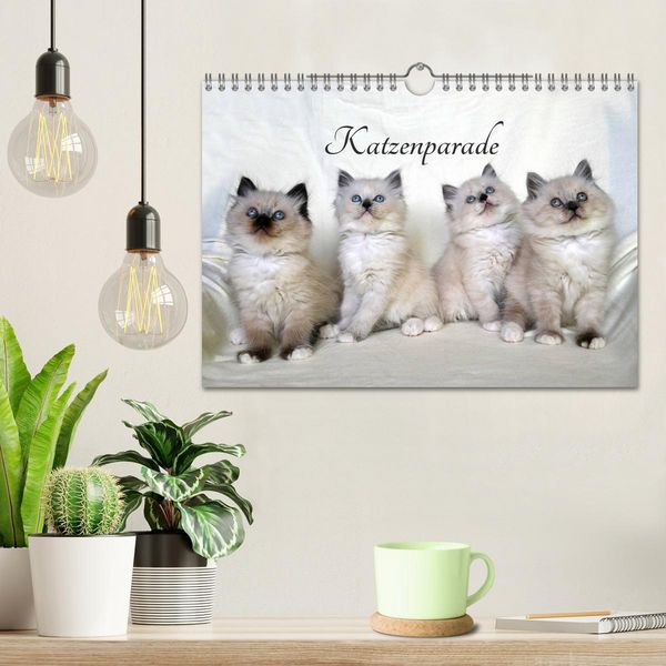 Produktbild: Katzenparade (Wandkalender 2026 DIN A4 quer), CALVENDO Monatskalender