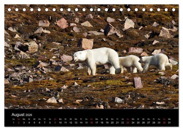 Produktbild: TRAUMZIEL ARKTIS, Impressionen vom Rand der Welt (Tischkalender 2026 DIN A5 quer), CALVENDO Monatskalender
