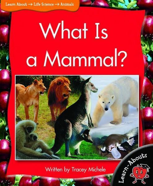 Produktbild: What Is a Mammal?