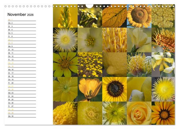 Produktbild: Farbenkaleidoskop (Wandkalender 2026 DIN A3 quer), CALVENDO Monatskalender