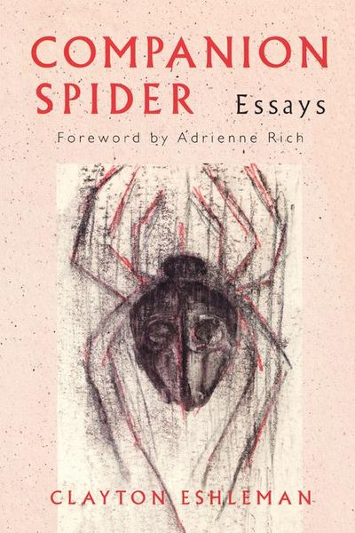 Produktbild: Companion Spider