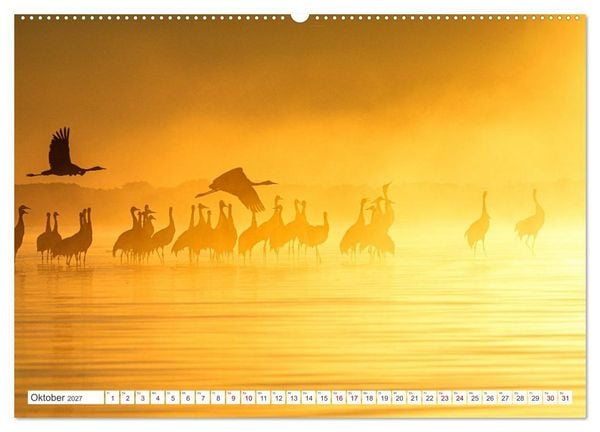 Produktbild: Natur und Tierparadies (Wandkalender 2027 DIN A2 quer), CALVENDO Monatskalender