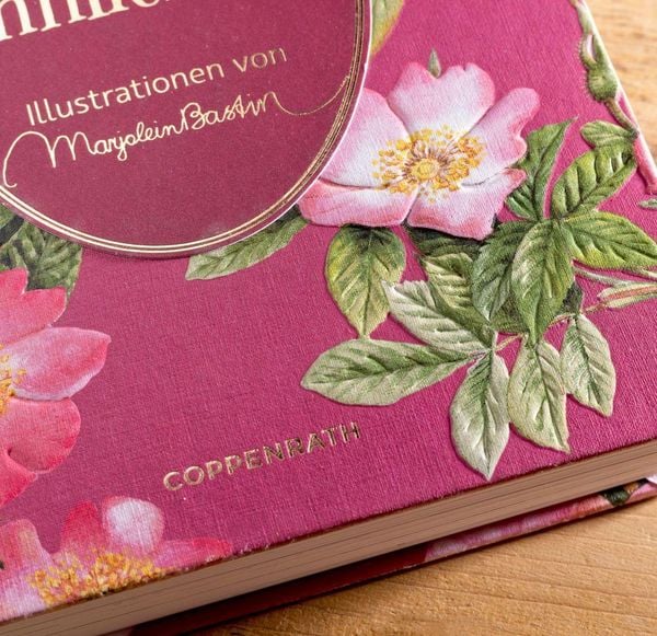 Produktbild: Sinn und Sinnlichkeit