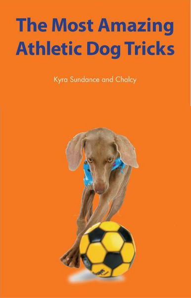 Produktbild: The Most Amazing Silly Dog Tricks