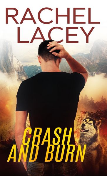 Produktbild: Crash and Burn