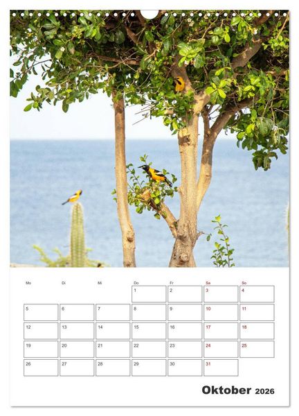 Produktbild: Curacao - Terminplaner (Wandkalender 2026 DIN A3 hoch), CALVENDO Monatskalender