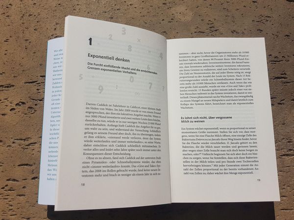 Produktbild: Warum Mathematik (fast) alles ist