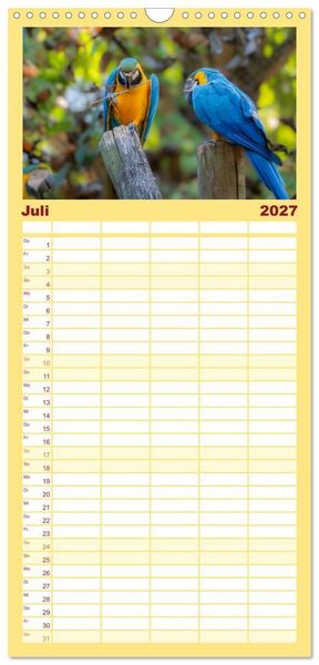Produktbild: Familienplaner 2027 - Aras und bunte Sittiche: Exotische Papageien-Portr&auml;ts mit 5 Spalten (Wandkalender, 21 x 45 cm) CALVENDO