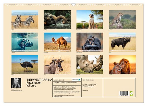 Produktbild: TIERWELT AFRIKA Faszination Wildnis (Wandkalender 2026 DIN A2 quer), CALVENDO Monatskalender