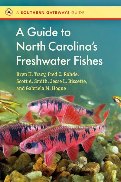 Produktbild: A Guide to North Carolina's Freshwater Fishes